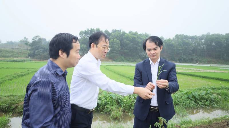 Lãnh đạo xã Trạm Thản thăm đồng, động viên ra quân sản xuất đầu xuân Bính Ngọ 2026.