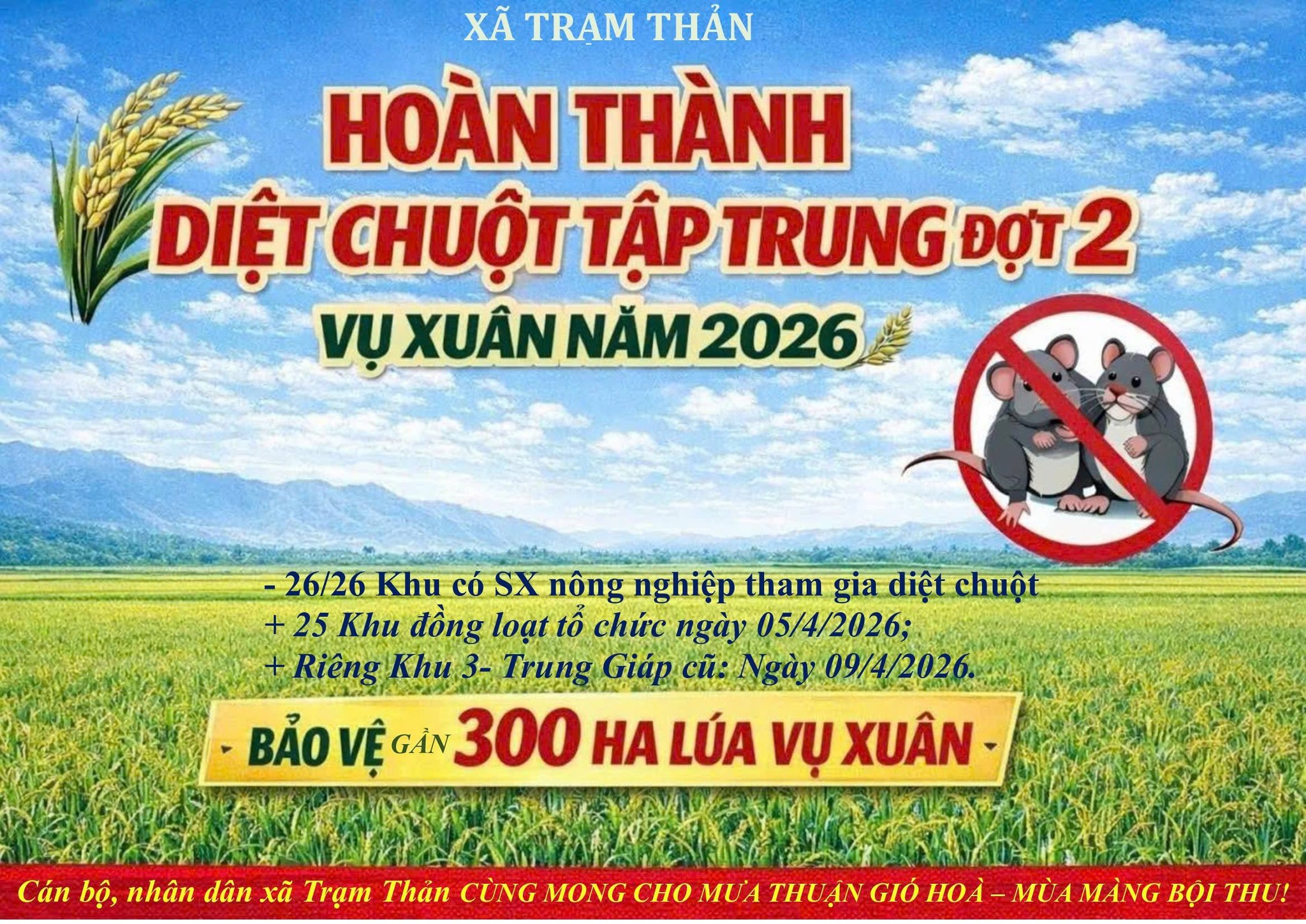 HOÀN THÀNH DIỆT CHUỘT TẬP TRUNG ĐỢT 2 – VỤ XUÂN NĂM 2026