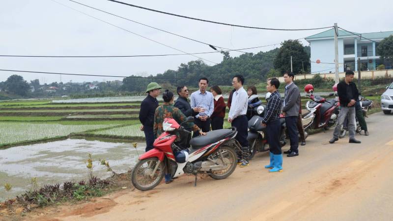 LÃNH ĐẠO UBND XÃ TRẠM THẢN ĐI THĂM ĐỒNG VÀ CHỈ ĐẠO SẢN XUẤT